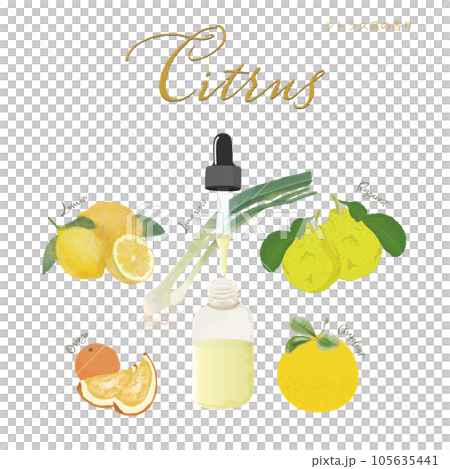 Citrus scent, aroma, essential oil, citrus, lemon, orange, bergamot 105635441