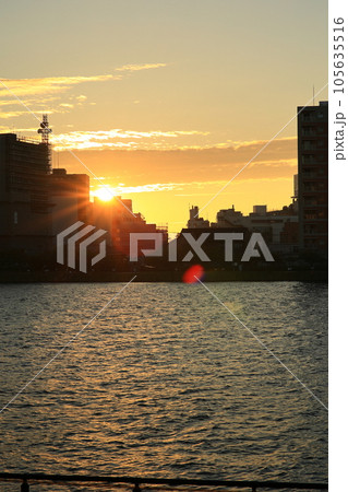信濃川やすらぎ提から沈む夕日 105635516
