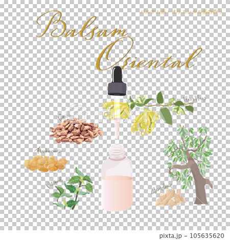Balsam fragrance, oriental fragrance, essential oil, aroma 105635620