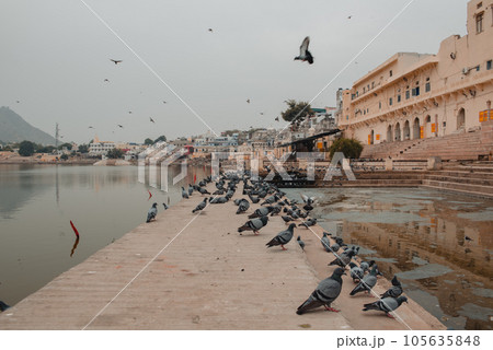 Holy lake in Pushkar, Rajasthan India. Holy lake in Pushkar, Rajasthan India. 105635848