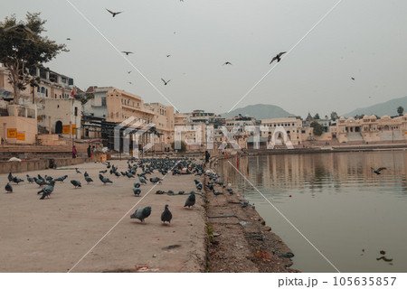 Holy lake in Pushkar, Rajasthan India. Holy lake in Pushkar, Rajasthan India. 105635857