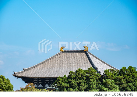 東大寺大仏殿 東大寺大仏殿 105636849