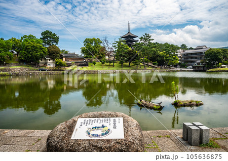 猿沢池越しに望む興福寺五重塔 105636875