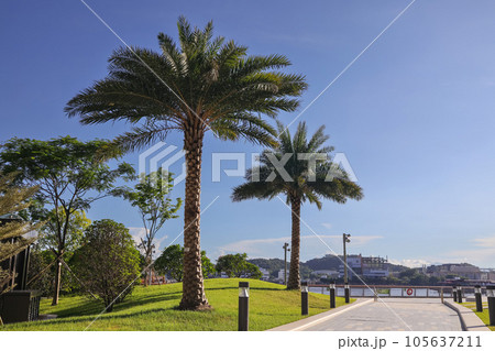 Aug 3 2023 Tranquil Escape at Cheung Sha Wan Promenade, Hong Kong 105637211