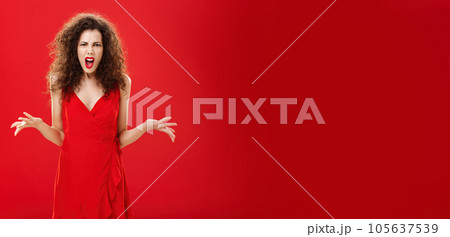 Dissatisfied angry and pissed attractive curly-haired female in stylish red dress arguing and frowning being bothered and in fury while fighting with boyfriend being shocked dinner ruined Dissatisfied angry and pissed attractive curly-haired female in stylish red dress arguing and frowning being bothered and in fury while fighting with boyfriend being shocked dinner ruined 105637539