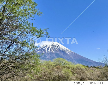 春の富士山景色 春の富士山景色 105638116