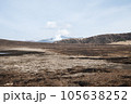 阿蘇 草千里ヶ浜 野焼き後の景色 105638252