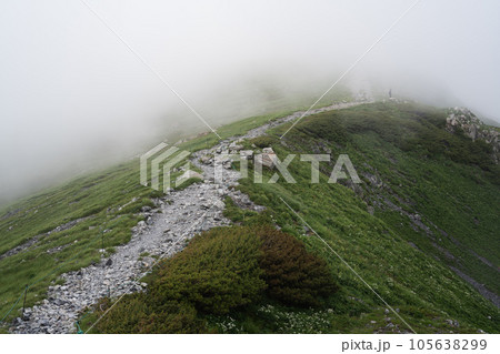 ガスに覆われる登山道 105638299