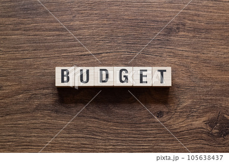 Budget - word concept on building blocks, text Budget - word concept on building blocks, text 105638437