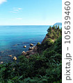 岩が突き出た海岸 105639460