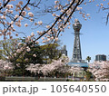春の大阪新世界通天閣の桜景色 105640550