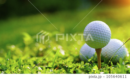 Golf ball on green grass in the evening golf course with sunshine background. 105640611