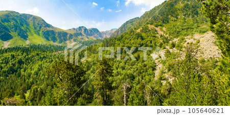 Mountains of the Pyrenees, forest and meadow. Summer, Andorra. Wide photo. Mountains of the Pyrenees, forest and meadow. Summer, Andorra. Wide photo. 105640621