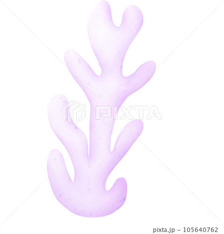 purple coral 105640762