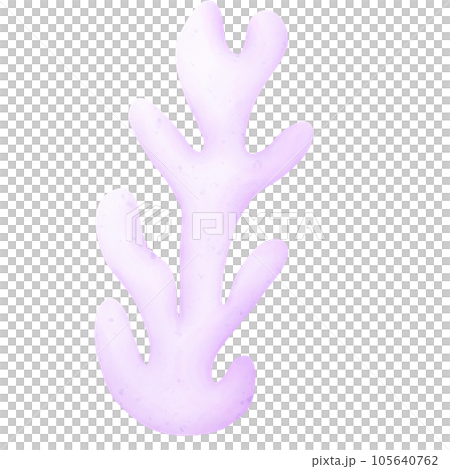 purple coral 105640762