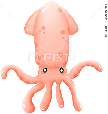 peach orange squid peach orange squid 105640764