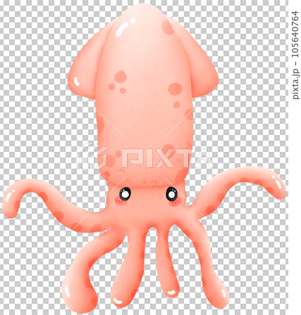 peach orange squid peach orange squid 105640764