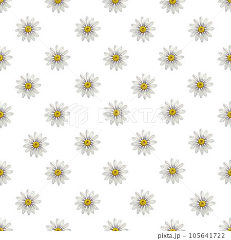 Seamless pattern with daisies. Watercolor illustration. For textile and decoration backgrounds, for packaging. Seamless pattern with daisies. Watercolor illustration. For textile and decoration backgrounds, for packaging. 105641722