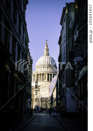 ロンドンのセントポール大聖堂からの風景 105641917