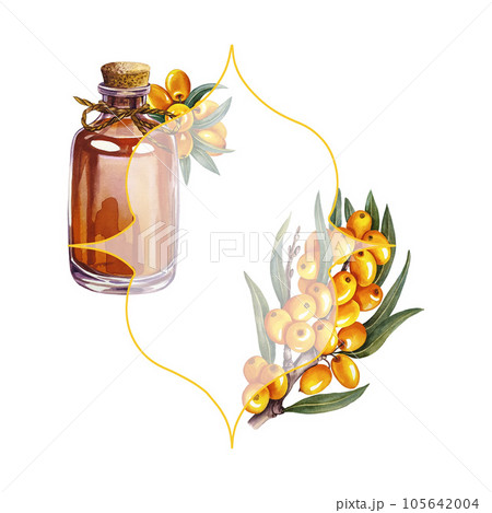Frame with a branch of sea buckthorn berries and sea buckthorn oil in a glass bottle. Watercolor. 105642004