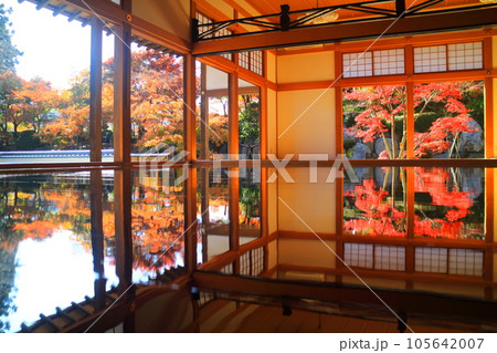 宝徳寺の床もみじ 宝徳寺の床もみじ 105642007