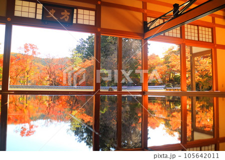 宝徳寺の床もみじ 宝徳寺の床もみじ 105642011