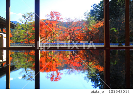 宝徳寺の床もみじ 105642012