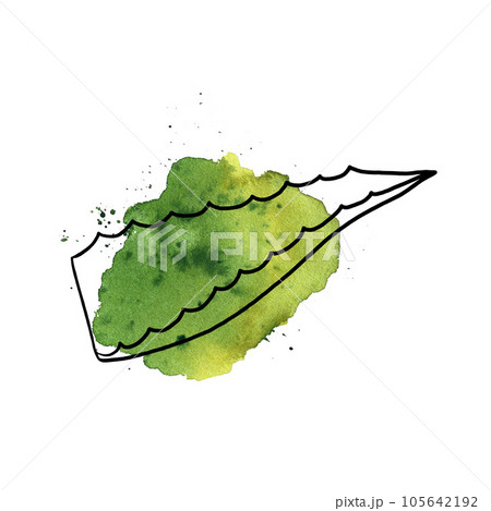 Aloe vera. Doodle and watercolor. For labels and packaging of cosmetology, perfumery and medicine. 105642192