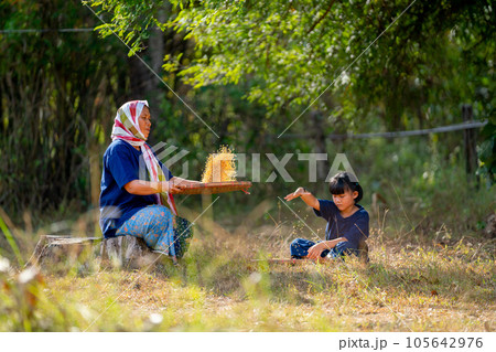 Portrait and close up of Senior Asian woman work with winnow rice using basketry and girl stay 105642976