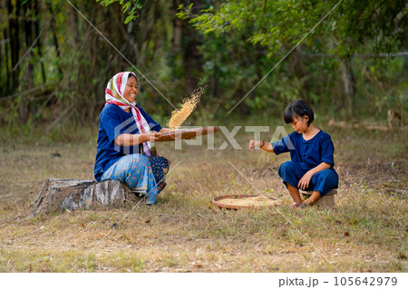 Senior Asian woman with traditional clothes winnow rice using basketry and little girl stay beside Senior Asian woman with traditional clothes winnow rice using basketry and little girl stay beside 105642979