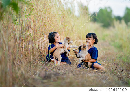 Two little Asian girls enjoy and fun to play with baby dogs and they sit near rice field with soft light of evening. 105643100