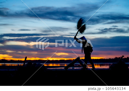 Silhouette of man work with local tools to get rice grain and use traditional method for working 105643134