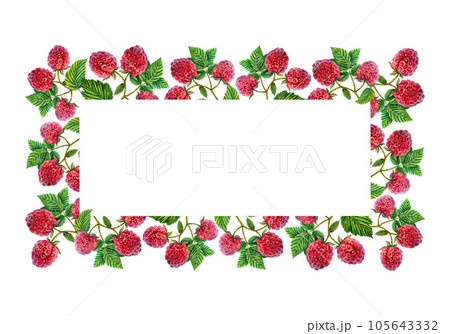 Raspberry. Rectangular frame with raspberry branches with berries and leaves. watercolor illustration. 105643332