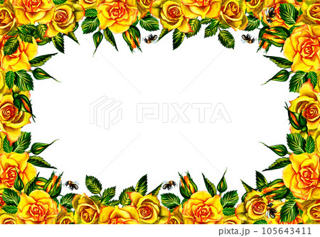 Roses are yellow. Floral frame. Watercolor illustration. For wedding, greeting and invitation cards watercolor design. Roses are yellow. Floral frame. Watercolor illustration. For wedding, greeting and invitation cards watercolor design. 105643411