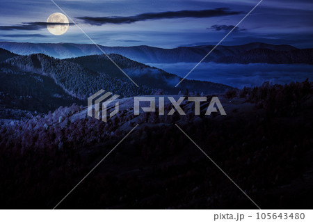 cold fog in the valley of Carpathian mountain range. trees in fall foliage on the hillside meadow at night. wonderful countryside scenery in full moon light 105643480