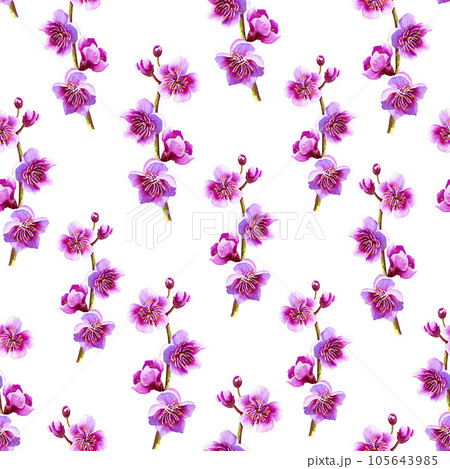 Spring gentle pattern with sakura. Watercolor illustration. For textiles, packaging, background, design, wallpaper. Spring gentle pattern with sakura. Watercolor illustration. For textiles, packaging, background, design, wallpaper. 105643985