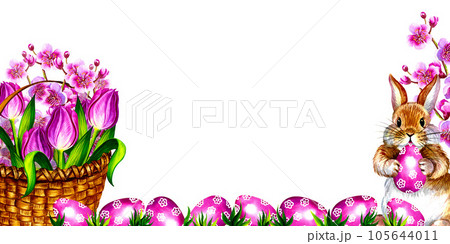 Easter composition banner with bunny, basket and flowers. Isolate on the background. Watercolor illustration. 105644011
