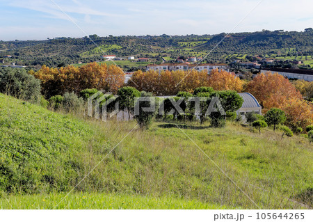 Rural landscape in Alcanena Municipality - Portugal 105644265