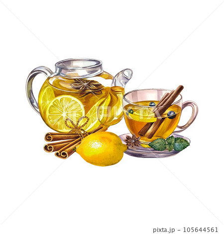 Antiviral tea with lemon and cinnamon. Glass teapot and a cup with vitamin tea for colds. Watercolor illustration. Antiviral tea with lemon and cinnamon. Glass teapot and a cup with vitamin tea for colds. Watercolor illustration. 105644561