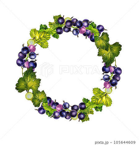 Black currant, round frame. Watercolor illustration. Fresh natural health product. For labels, packaging and banners. 105644609