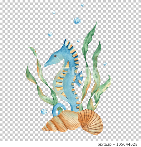 Marine composition of cute seahorse, seaweeds, seashells, water bubbles. Watercolor hand drawn illustration for children isolated on white background. For cards, posters, marine design. 105644628