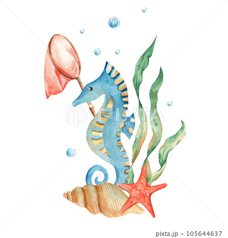 Marine composition of cute seahorse, seaweeds, red starfish, seashells, orange net and water bubbles. Watercolor hand drawn illustration for children isolated on white background. For cards, posters 105644637