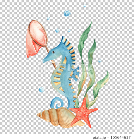 Marine composition of cute seahorse, seaweeds, red starfish, seashells, orange net and water bubbles. Watercolor hand drawn illustration for children isolated on white background. For cards, posters Marine composition of cute seahorse, seaweeds, red starfish, seashells, orange net and water bubbles. Watercolor hand drawn illustration for children isolated on white background. For cards, posters 105644637