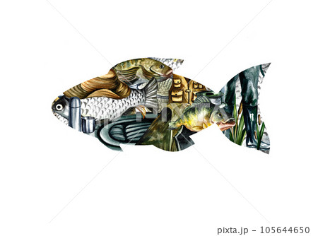 Fishing. Fishing tackle in the shape of a fish. Isolate on white background. Watercolor illustration. Design for fishing 105644650