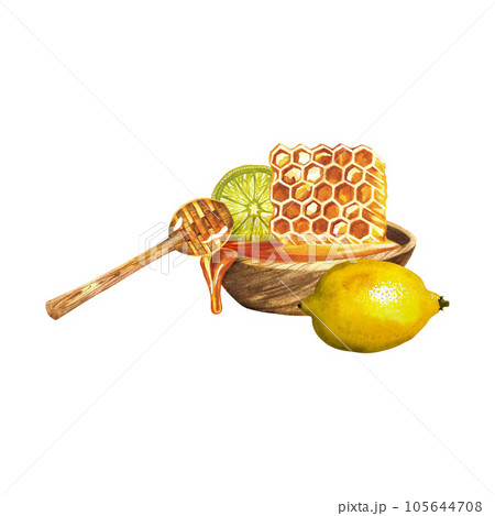 Honey and lemon. Watercolor illustration. For cosmetology, pharmaceuticals and food industry. 105644708