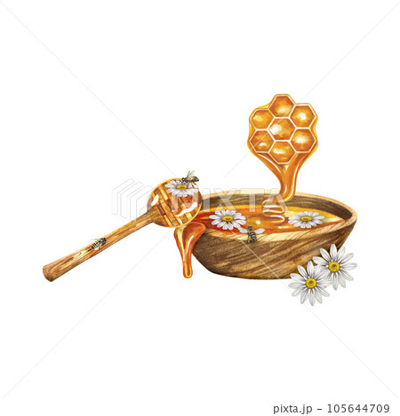 Honey and chamomile. Watercolor illustration. For design solutions, cosmetology, pharmaceuticals and food industry. 105644709