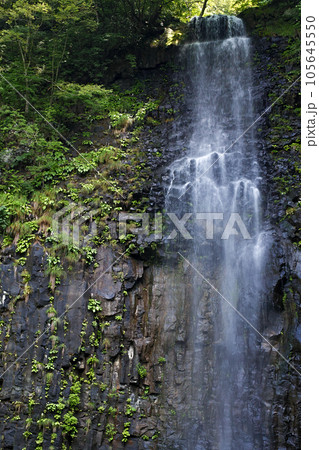 山形県/ 山形県を代表する名瀑 夏の「玉簾の滝」（たますだれのたき） 105645550