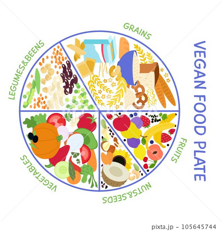 Vegan food plate. Vegetarian infographic for healthy eating, vitamins and minerals balance. Seeds, vegetables and cereals decent vector info poster 105645744