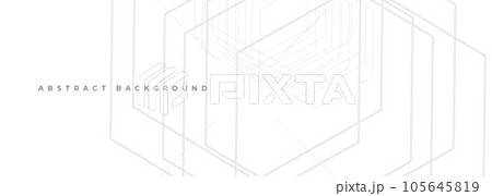 Abstract white presentation background with stripe lines. 105645819