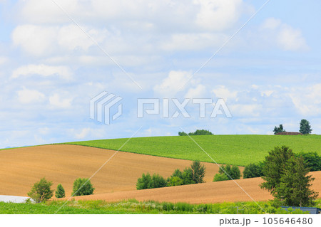 青空と畑 105646480